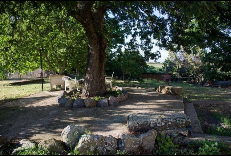 Favoloso Appartamento In Villa Monterosi Eksteriør bilde
