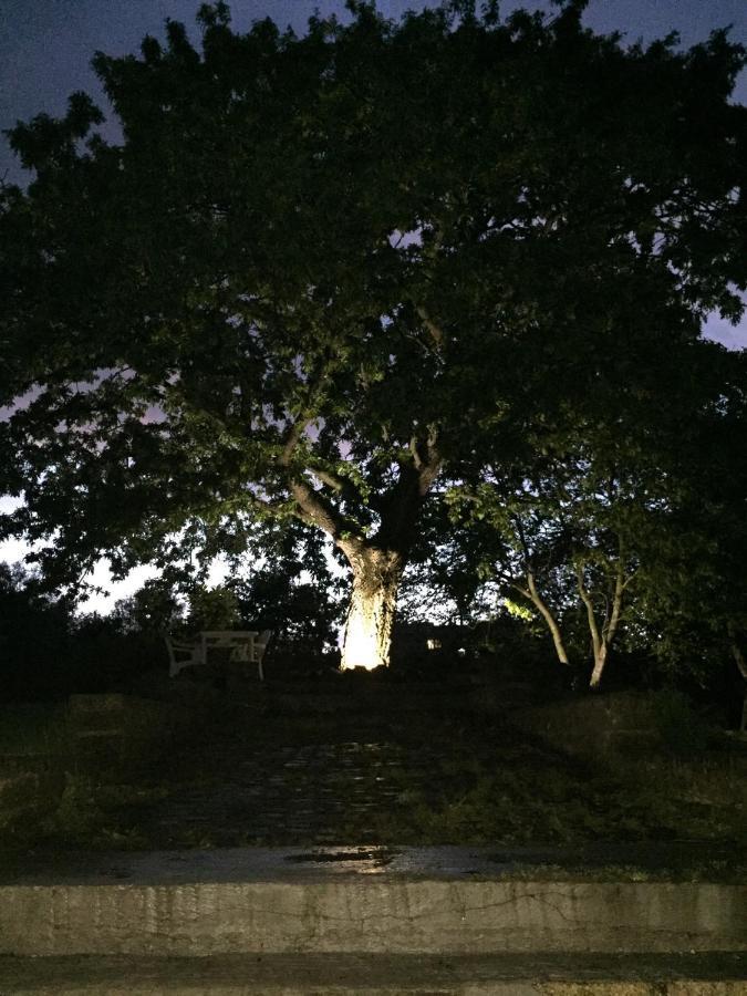 Favoloso Appartamento In Villa Monterosi Eksteriør bilde