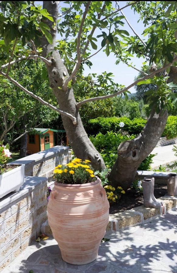 Favoloso Appartamento In Villa Monterosi Eksteriør bilde