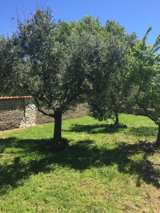 Favoloso Appartamento In Villa Monterosi Eksteriør bilde